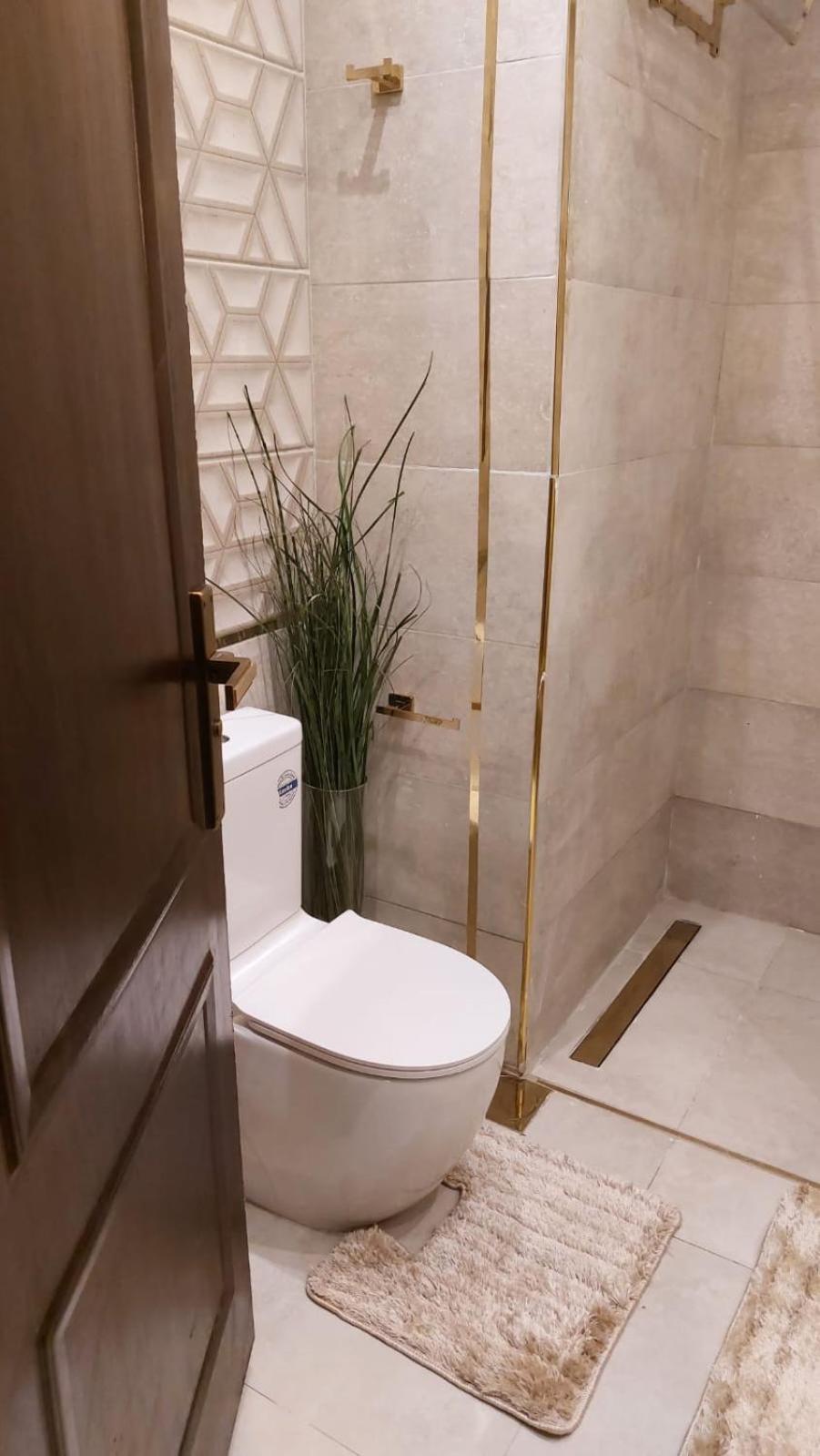 Apartment ديلوكس مفروشة مصر الجديدة Cairo